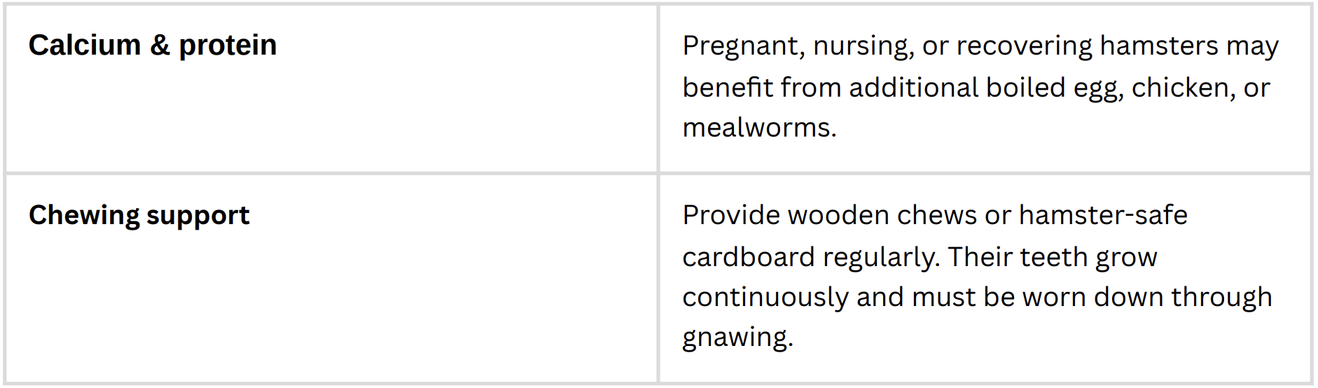 Image showcasing Syrian Hamster Care Sheet — Swiftail Exotic Telemedicine Veterinary ...